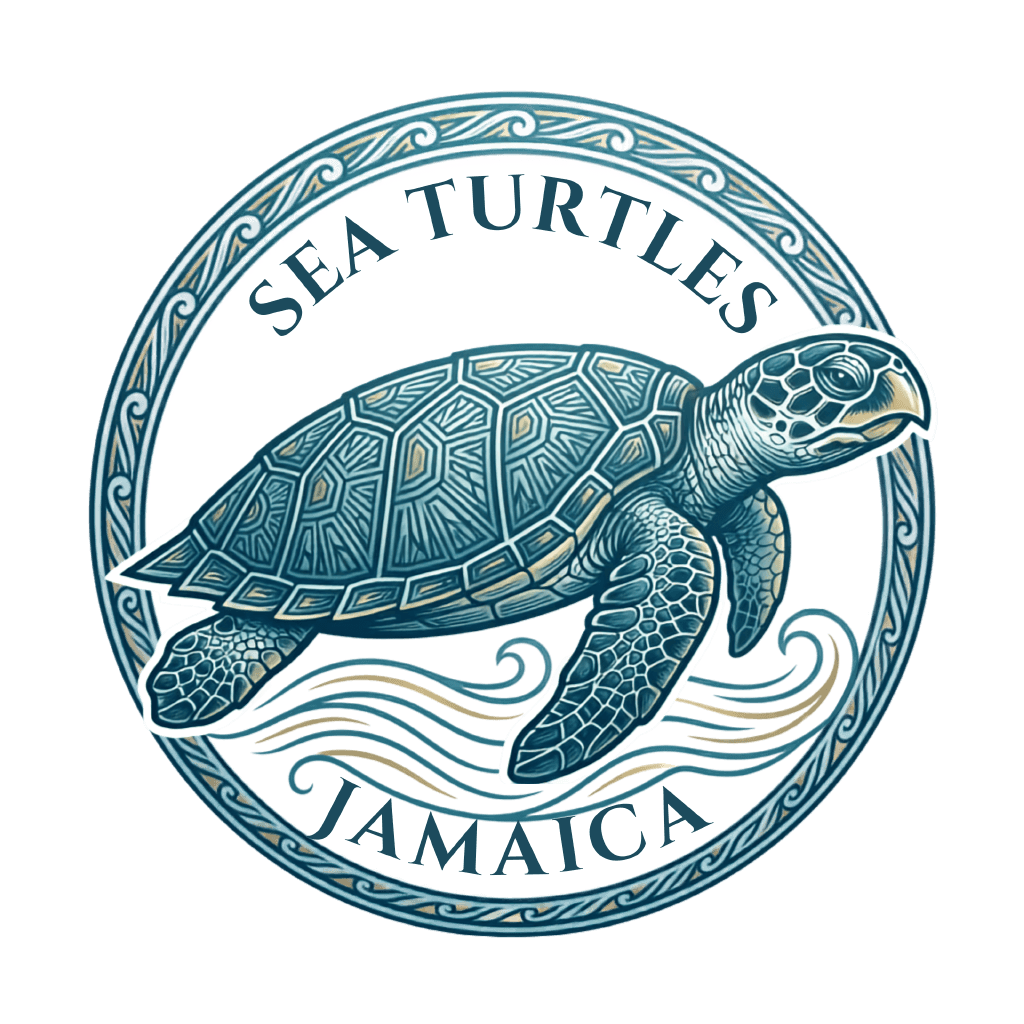 SeaTurtlesJa
